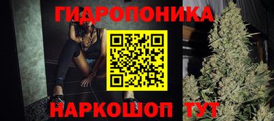 молекула духа Пенза
