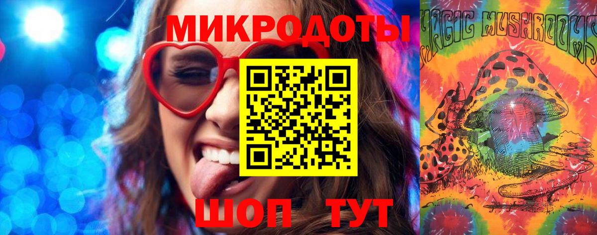 Галлюциногенные грибы Psilocybe Печора